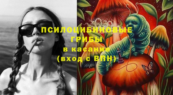 mdma Богородицк