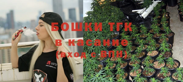 mdma Богородицк