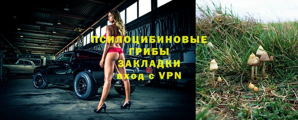 кокаин Богданович