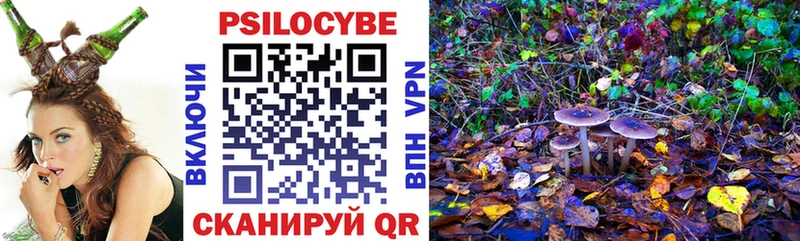 Псилоцибиновые грибы GOLDEN TEACHER  Дрезна 